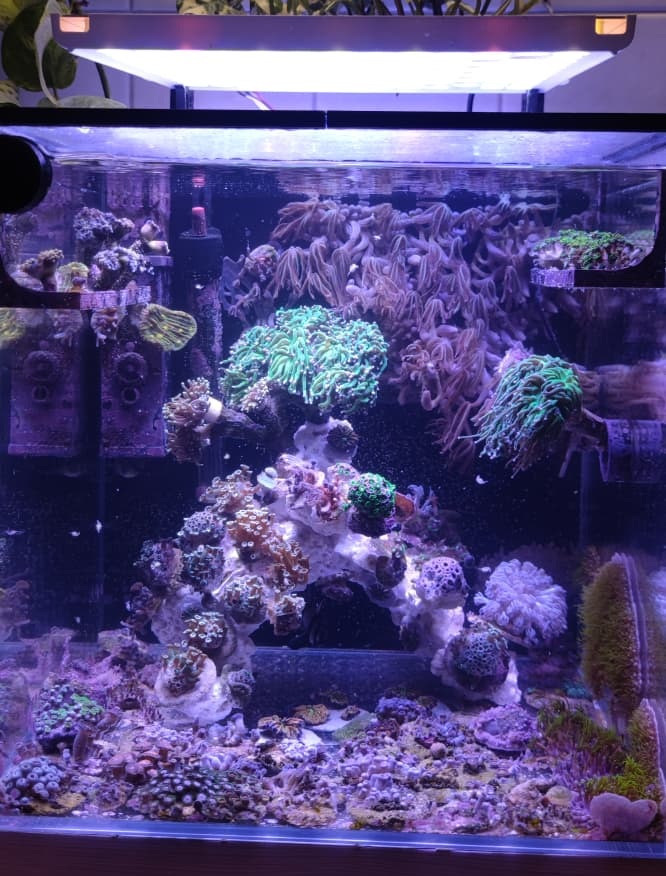 Beispiel-Nano-Aquarium am Tag 0